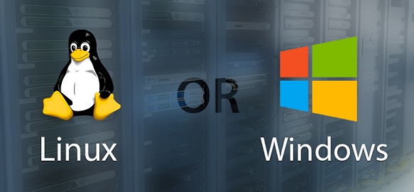 linux or windows hosting 