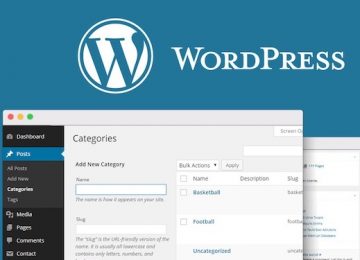 Thiết kế website bằng WordPress có và không nên có gì?