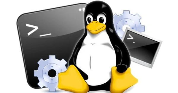 Ưu điểm và nhược điểm Hosting Linux 