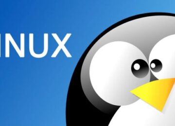 Ưu điểm và nhược điểm khi sử dụng Hosting Linux